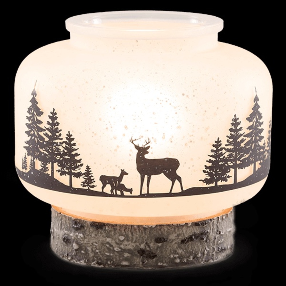 Scentsy Warmer